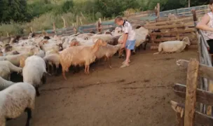 Ferma Lupu (Mihai Petre) — Adăposturi Animale, Prahova