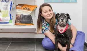 Happy Dragon Vet — Cabinete Veterinare, Cluj-Napoca, Cluj