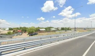 Help Labus — Adăposturi Animale, Municipiul Galați, Galați