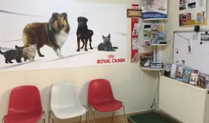 Helpvet — Cabinete Veterinare, Buzău