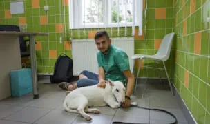 În Lumea Animalelor — Cabinete Veterinare, Cluj-Napoca, Cluj