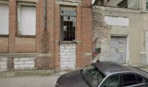 International transport dogs — Animal Transport, Bucharest