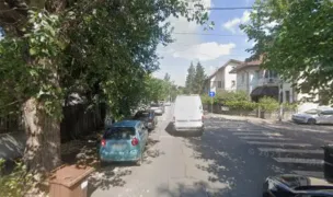 International transport pets — Animal Transport, Bucharest