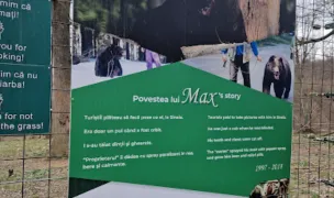 Fotografia de copertă a listării