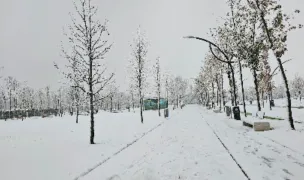 Loc de joacă pentru câini — Parcuri pentru Câini, Sectorul 4, București