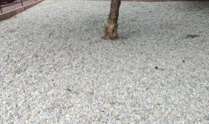 Loc pentru câini, cu pietriș — Parcuri pentru Câini, Sectorul 3, București