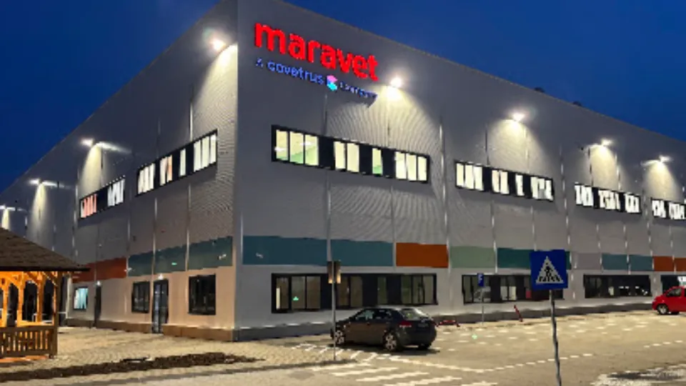 Maravet — fotografie de copertă