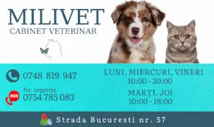Milivet Urgente Veterinare Cluj — Cabinete Veterinare, Cluj-Napoca, Cluj