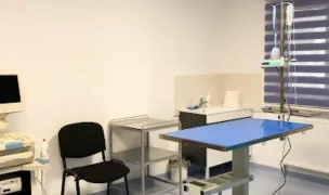 OXIVET Cabinet Veterinar Valcea, Veterinar Ramnicu Valcea — Cabinete Veterinare, Râmnicu Vâlcea, Vâlcea