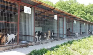 Padoc Pascani — Adăposturi Animale, Iași