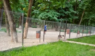 Parc pentru câini — Parcuri pentru Câini, Sectorul 1, București