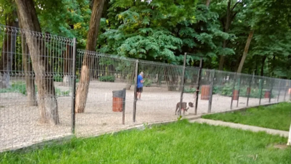 Parc pentru câini — fotografie de copertă