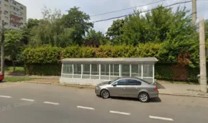Parcul de caini Regina Maria — Dog Parks, Sector 1, Bucharest