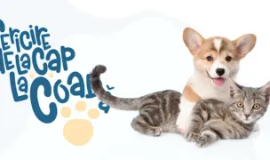 PetGuru — Pet Shop, Cluj-Napoca, Cluj