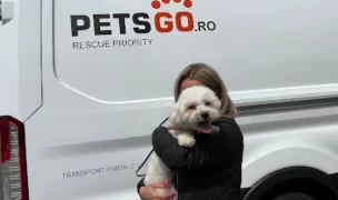 PetsGo — Transport Animale, Cluj-Napoca, Cluj