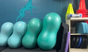 Pro Kinetik Vet — Cabinete Veterinare, Cluj-Napoca, Cluj