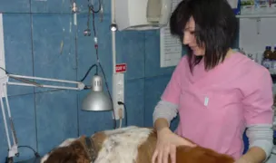 Fotografia de copertă a listării