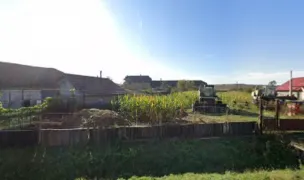 Sirius Animal Rescue — Adăposturi Animale, Cluj