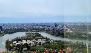 SOS Children's Villages byo — Pet-Friendly Beaches, Bucharest