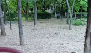 Țarc de câini — Dog Parks, Sector 3, Bucharest
