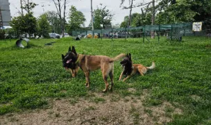 Țarc pentru câini — Parcuri pentru Câini, Sectorul 1, București