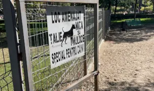 Țarc pentru câini Obor — Parcuri pentru Câini, Sectorul 2, București