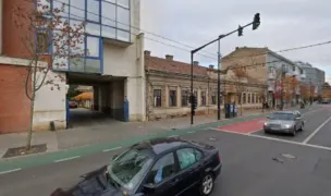 Tomi — Adăposturi Animale, Cluj-Napoca, Cluj