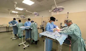 Veterinary Training Camp -learning by helping animals in need — Dresaj Animale, Ilfov