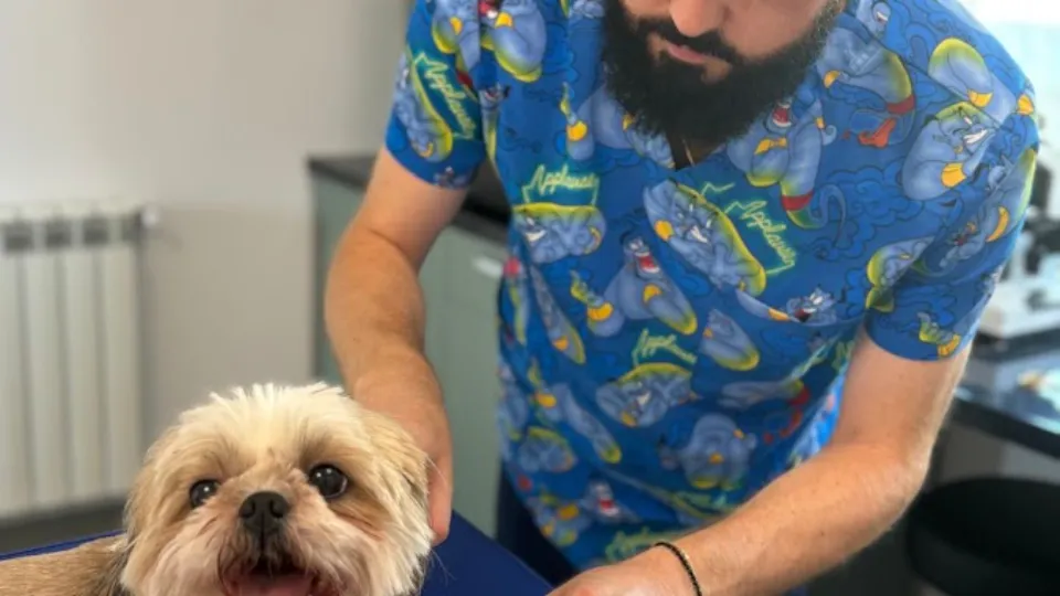 Cabinet veterinar Sfântul Modest — fotografie de copertă
