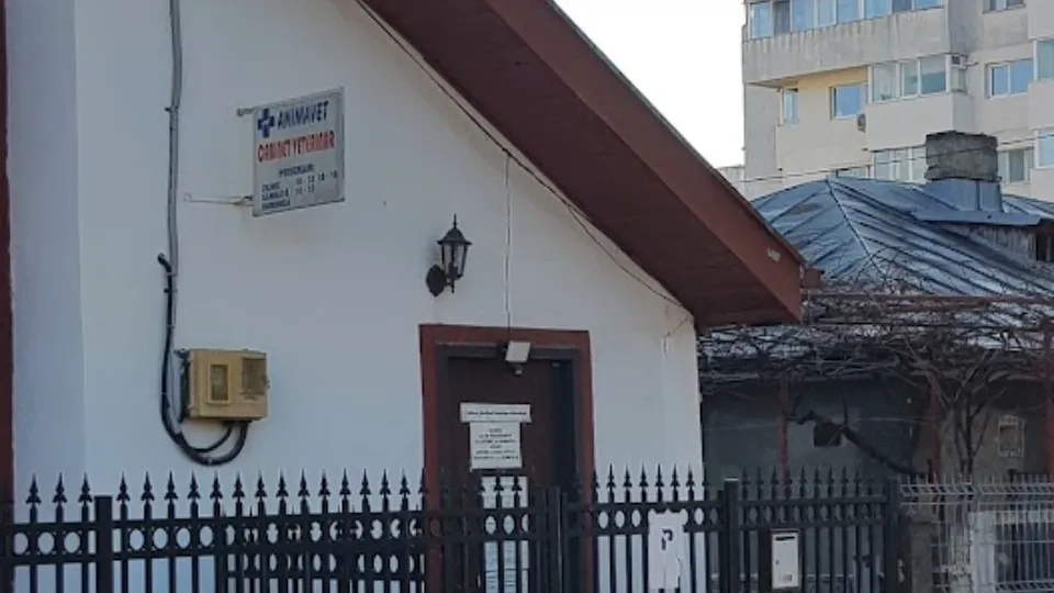 Animavet — fotografie de copertă