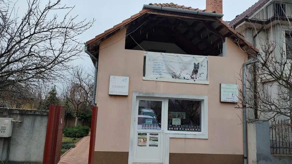 LaviVet — fotografie de copertă