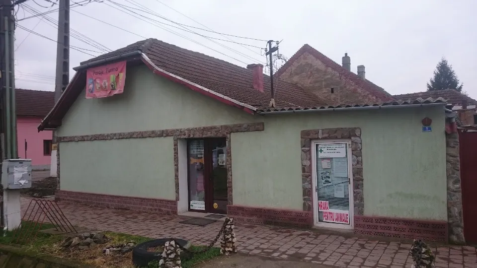 Detavet — fotografie de copertă