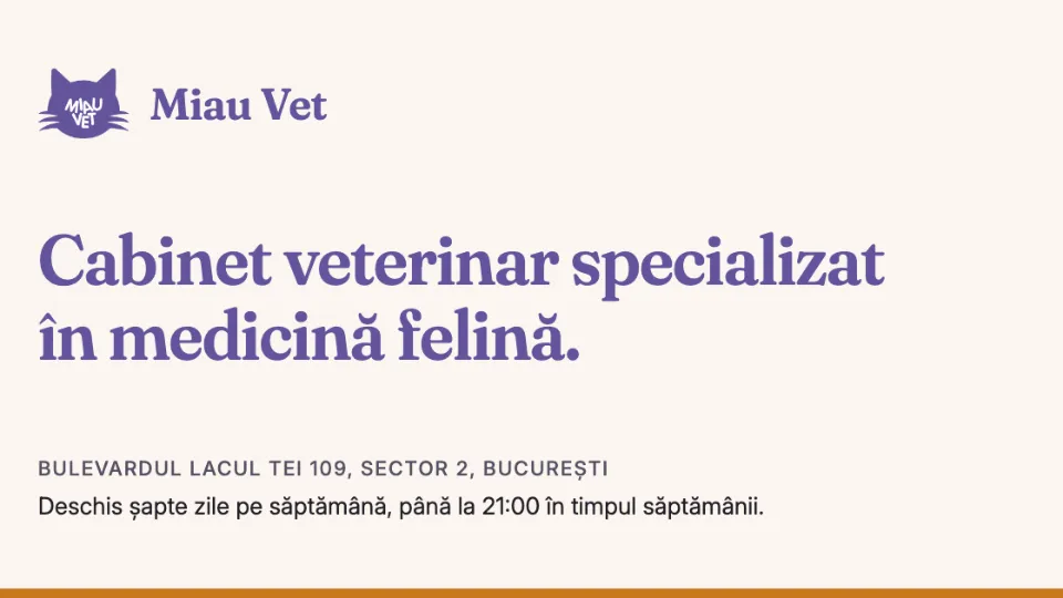 Fotografia de copertă a listării