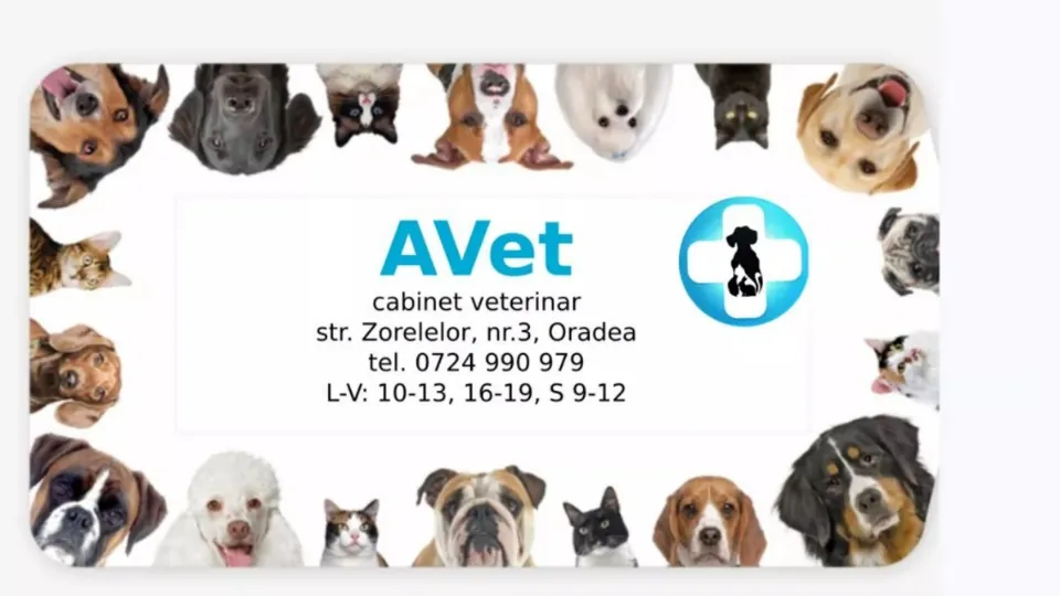 Cabinet veterinar Avet Oradea — fotografie de copertă