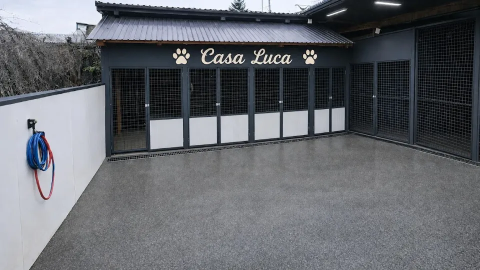 Casa Luca-Pensiune canină-Dresaj canin — fotografie de copertă