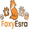 Logo FoxyEsra