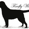 Logo Canisa Labrador Retriever "FIREFLY WAY"