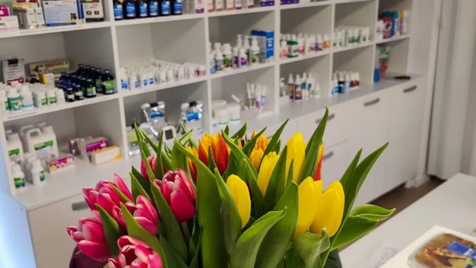 Cabinet Veterinar si Farmacie Veterinara Dr. Kitten SRL — fotografie de copertă