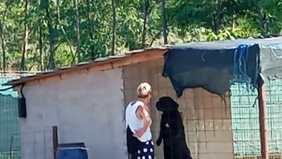 Veterinary Clinic & Pharmacy Christiana — fotografie de copertă