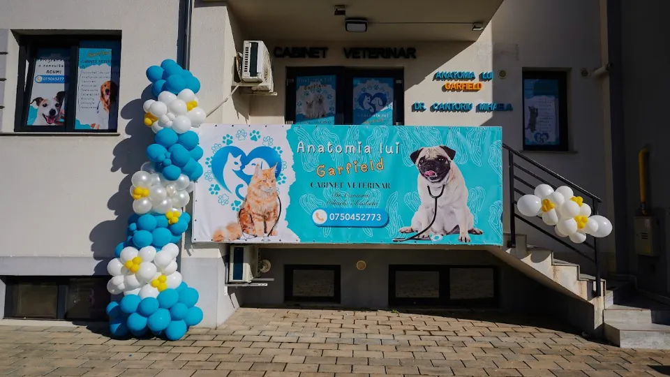 Anatomia Lui Garfield Cabinet Veterinar — fotografie de copertă
