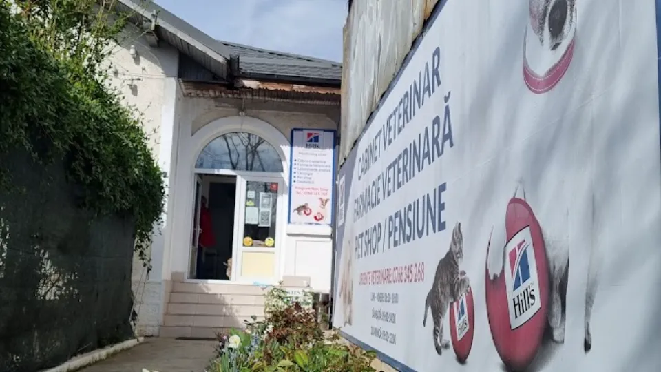 Dispensar Veterinar. Hotel animale — fotografie de copertă