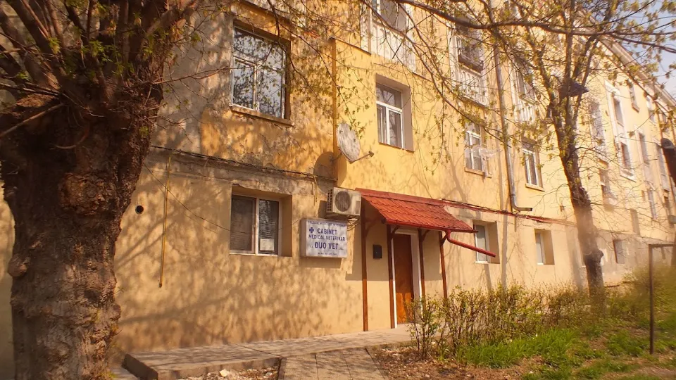 Duo Vet — fotografie de copertă