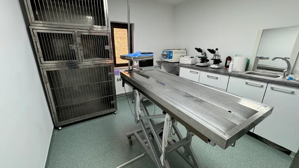 Cabinet Veterinar Dr Manea Alin — fotografie de copertă