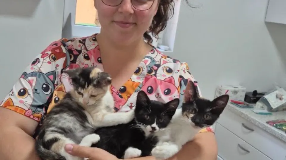 Cabinet veterinar Little Pet Vet 22 — fotografie de copertă