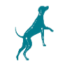 Logo-ul listării
