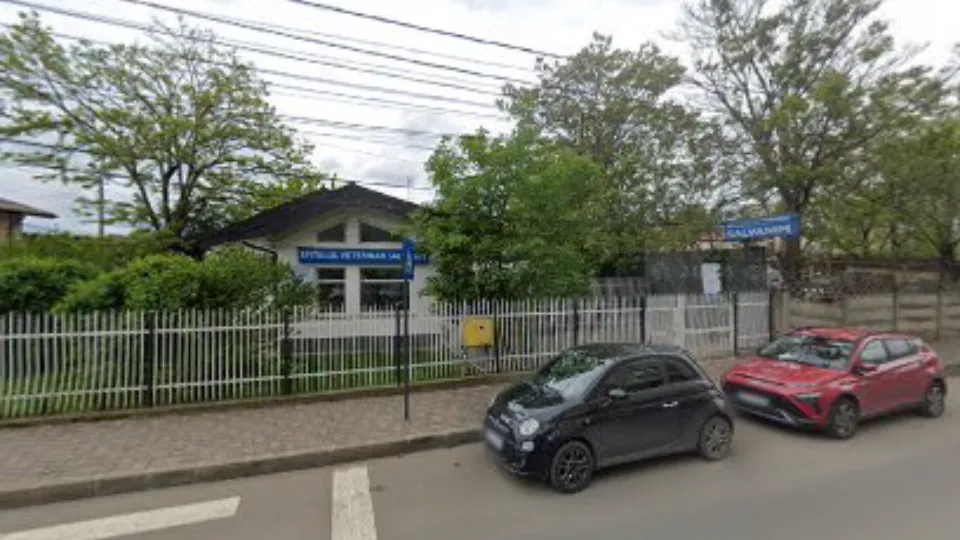 CDMEC — fotografie de copertă