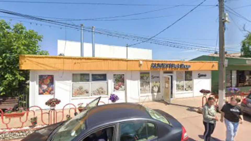 ALIVET | Pet Shop Centru — fotografie de copertă