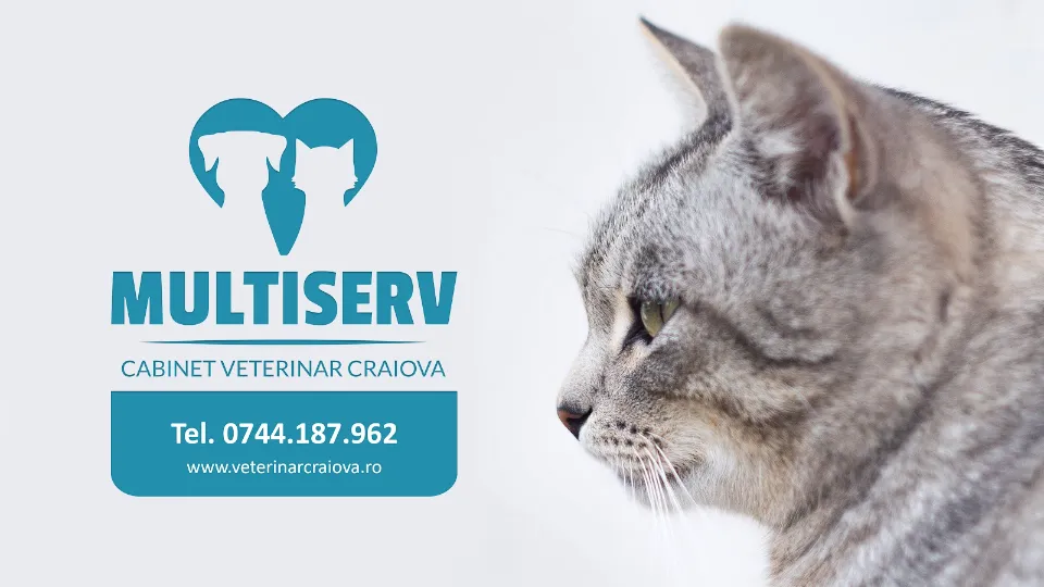 Clinică Veterinară Multiserv — fotografie de copertă