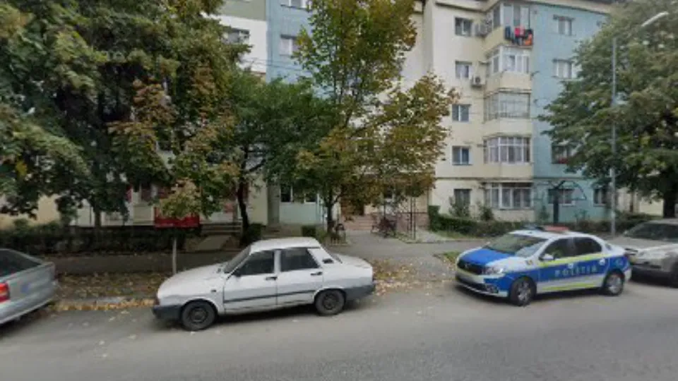 Pet Shop Dragasani — fotografie de copertă