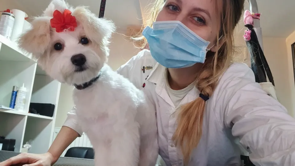 Frizerie Canina Happy Pet - Pitesti — fotografie de copertă